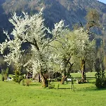 Hansenbauernhof Inkl. Chiemgaukarte בית חווה *