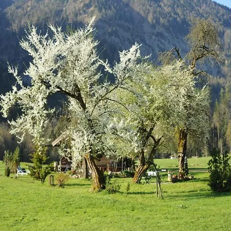 Hansenbauernhof Inkl. Chiemgaukarte Alloggio per agriturismo *