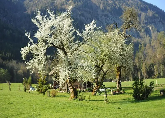 Hansenbauernhof Inkl. Chiemgaukarte Фермерский дом *
